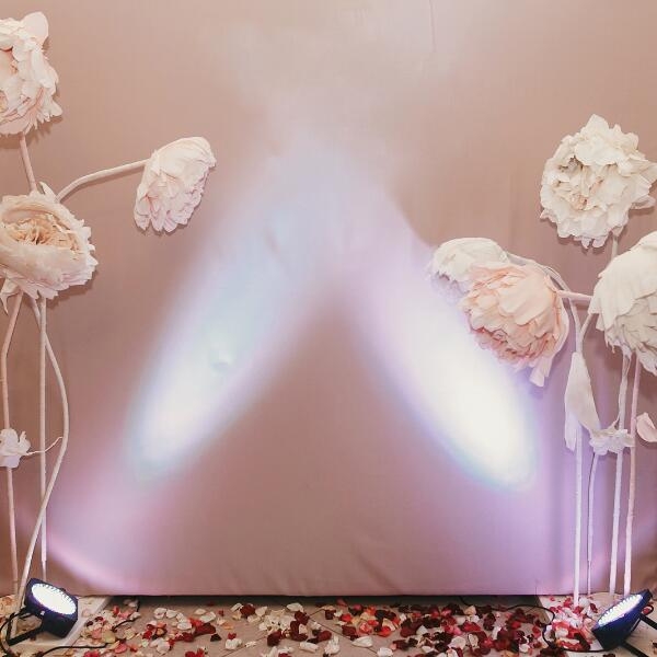 Image showing backdrops.