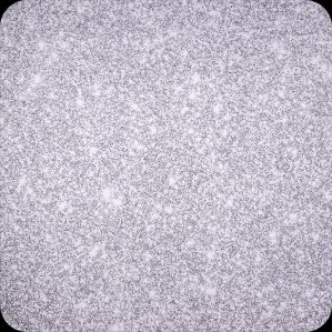 Silver-Glitter-2024